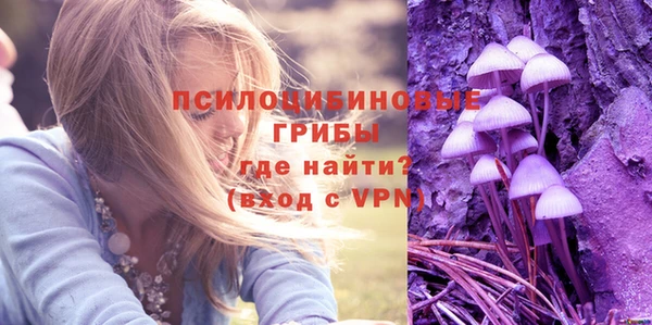 шишки Гусиноозёрск