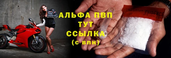 стафф Вуктыл