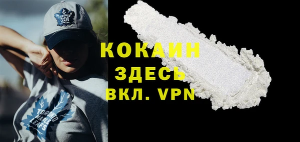 ПСИЛОЦИБИНОВЫЕ ГРИБЫ Гусь-Хрустальный