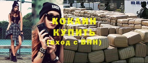ПСИЛОЦИБИНОВЫЕ ГРИБЫ Гусь-Хрустальный