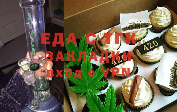 шишки Гусиноозёрск