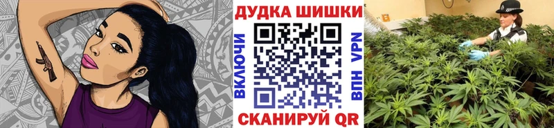 Конопля SATIVA & INDICA закладка Далматово